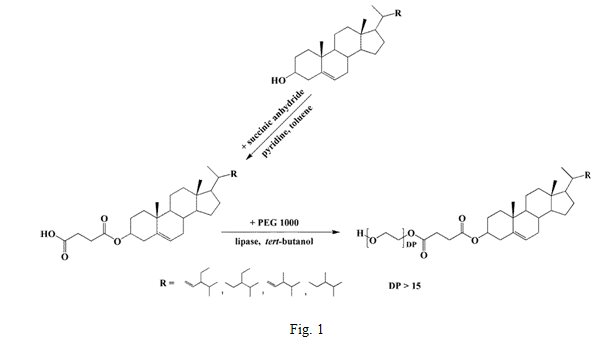 A Novel Chemo Enzymatic Synthesis Of Hydrophilic Phytosterol Derivatives By Dr Wen Sen He 食品与生物工程学院